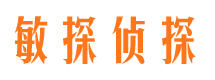 临高外遇调查取证